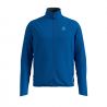 Directoire Blue